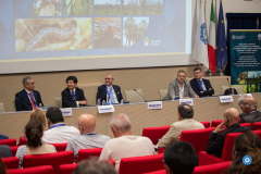 52989987032_0010212e2d_c