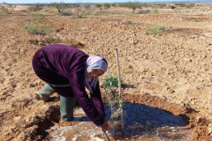 336664495_165033826383142_1056042248958829508_n