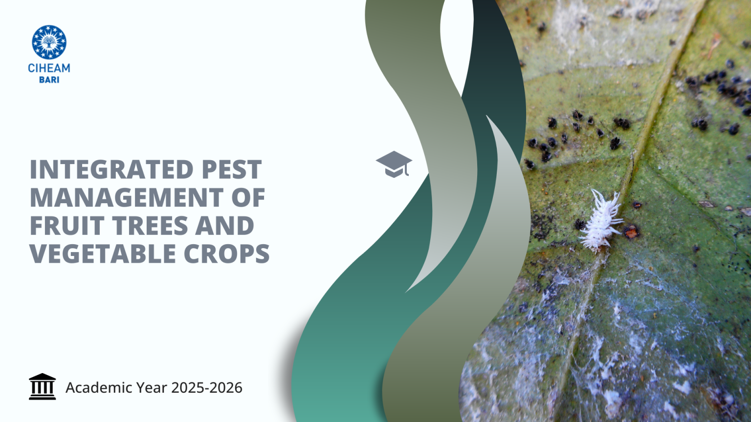Integrated Pest Management of Fruit Trees and Vegetable Crops (IPM ...