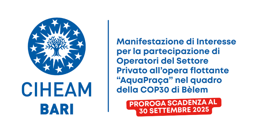 opera flottante “AquaPraça