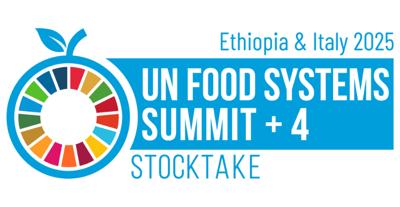 Food Systems Summit +4