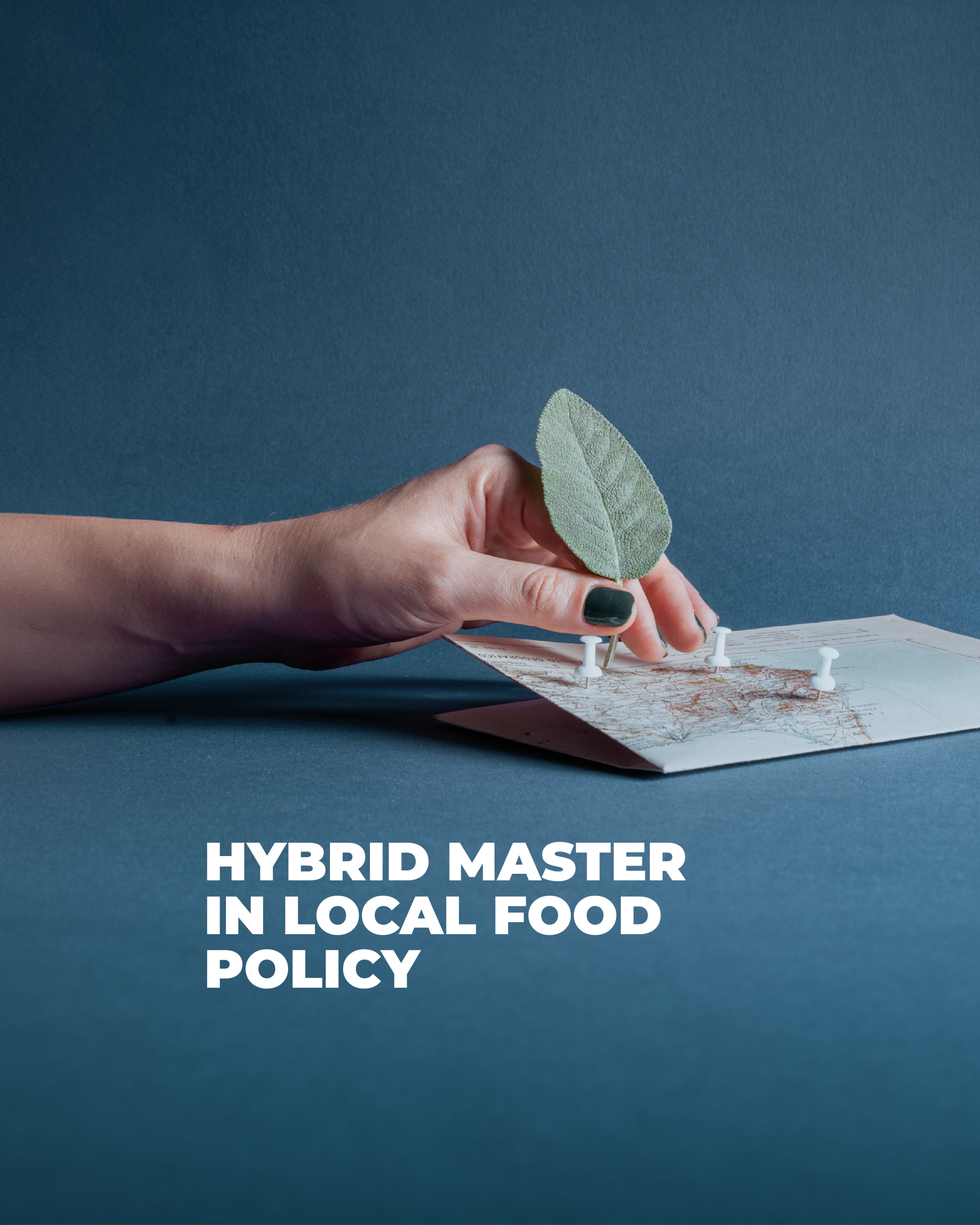Cover-Hybrid Master Local Food Policy