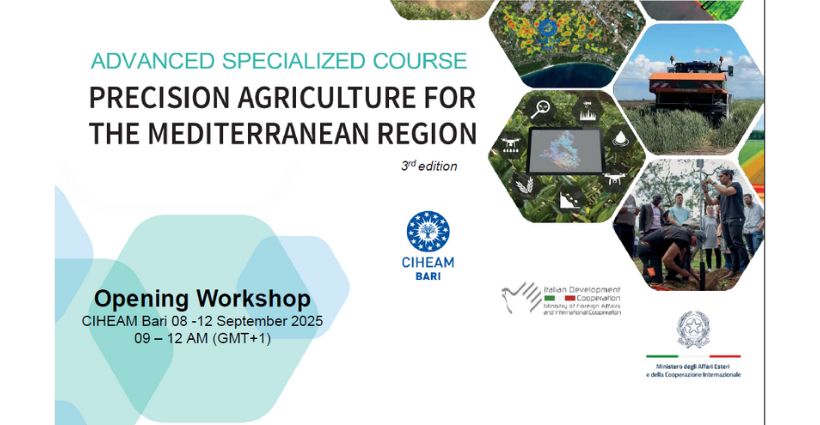 Precision Agriculture for the Mediterranean Region