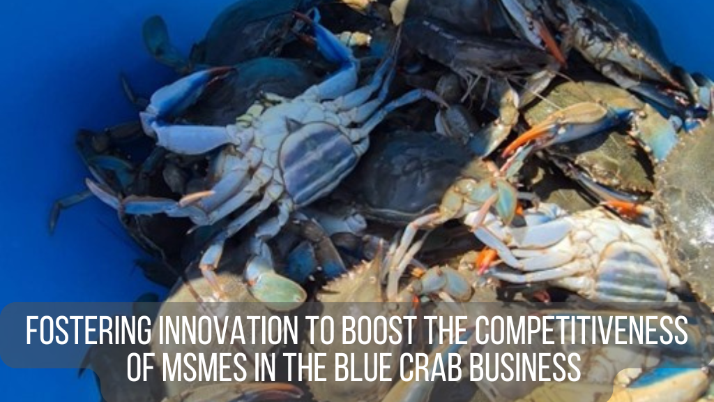 Fostering innovation to boost the competitiveness of MSMEs in the blue crab business 