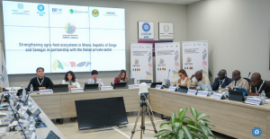 Sustainability and Innovation in the Italian Agrifood Sector: Insights from Apulia