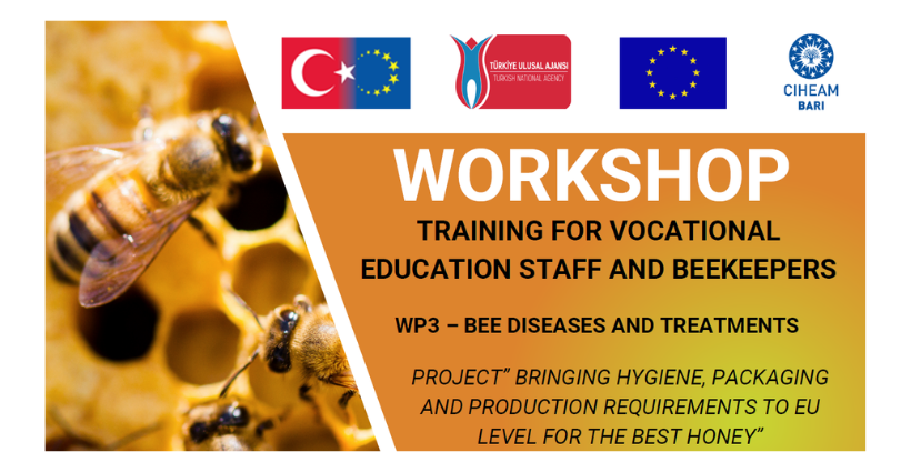 Salute delle Api e Qualit&agrave; del Miele: al CIHEAM Bari il Workshop BestHoney